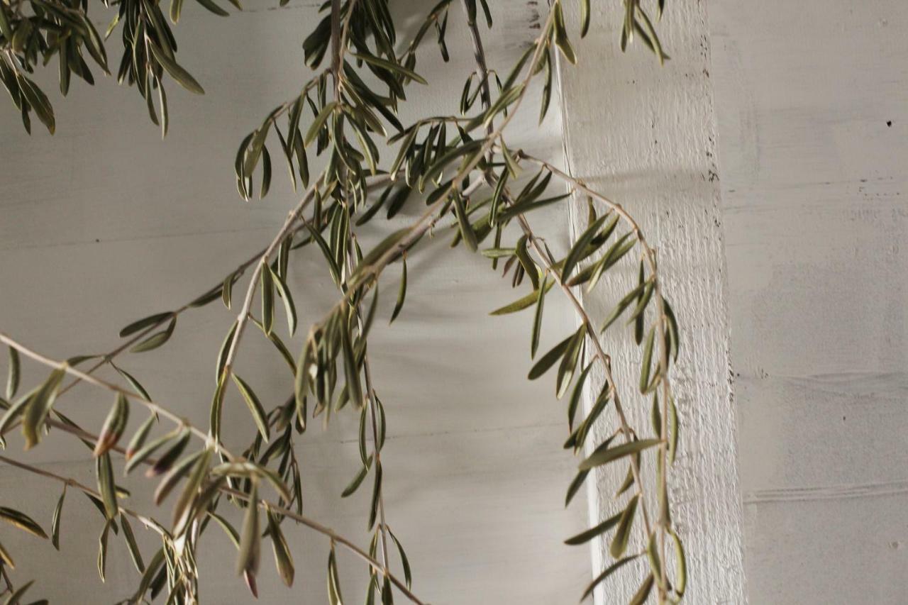 בית הארחה Perales del Puerto 	La Grulla Gris מראה חיצוני תמונה